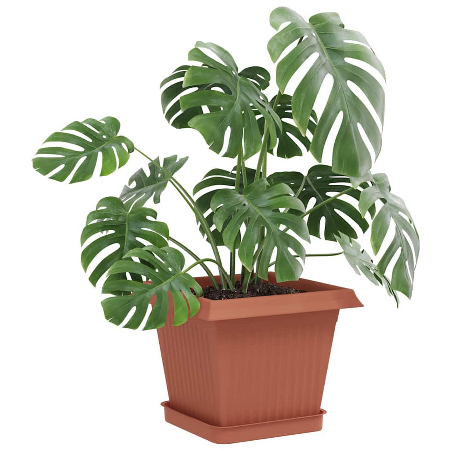 Plantenpotten 24 pcs Baksteenrood 20 x 20 x 16 cm Kunststof