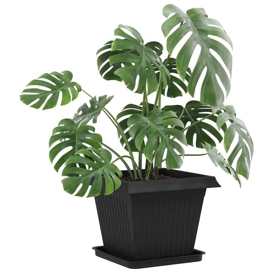 Plantenpotten 24 pcs Zwart 43 x 43 x 33,5 cm Kunststof