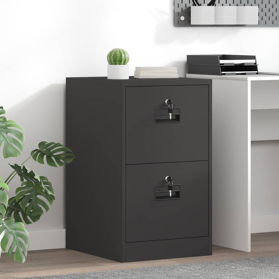 Bestandenkast 44 X 50 X 106,5 Cm Koudgewalst Staal Zwart