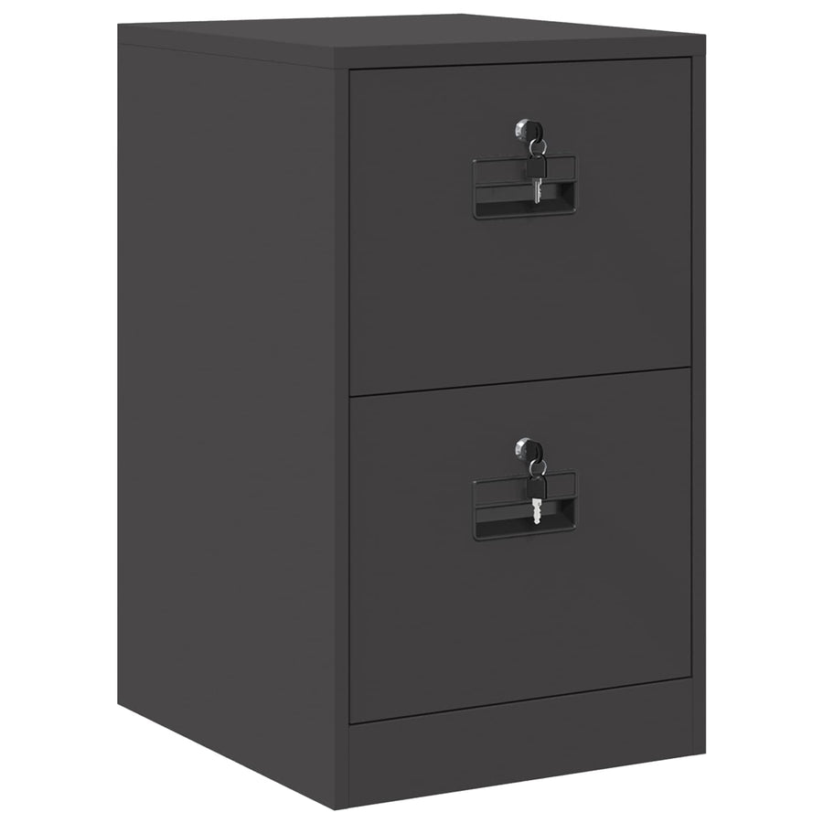Bestandenkast 44 X 50 X 106,5 Cm Koudgewalst Staal Zwart