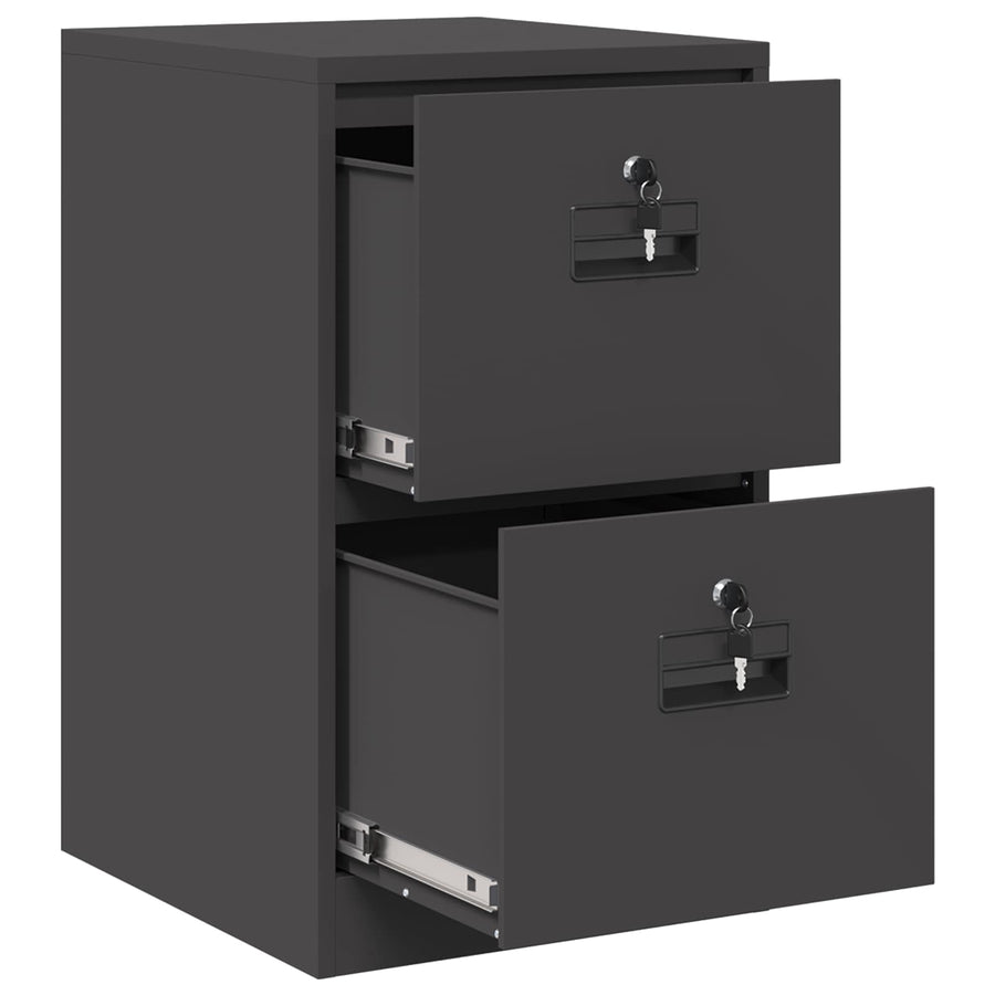 Bestandenkast 44 X 50 X 106,5 Cm Koudgewalst Staal Zwart