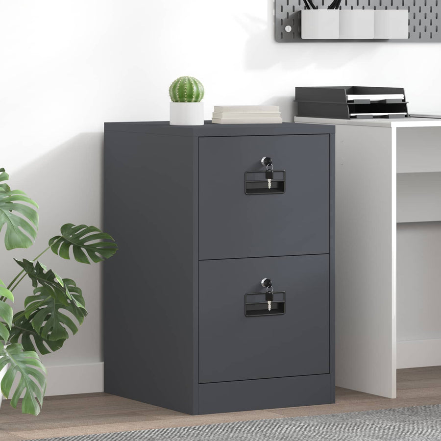 Bestandenkast Antraciet 44 x 50 x 106,5 cm Koudgewalst Staal
