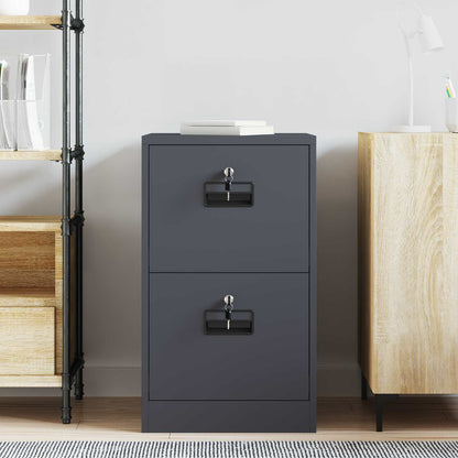 Bestandenkast Antraciet 44 x 50 x 106,5 cm Koudgewalst Staal