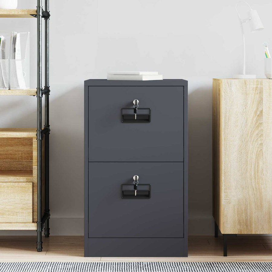 Bestandenkast Antraciet 44 x 50 x 106,5 cm Koudgewalst Staal
