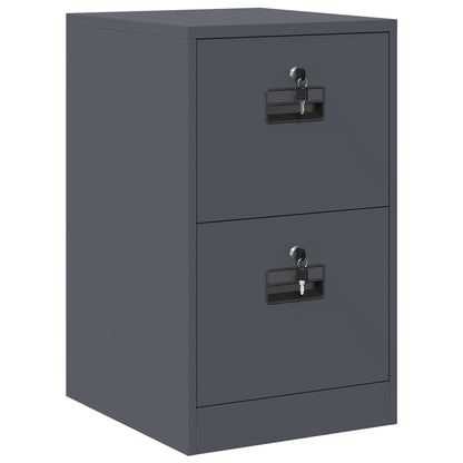 Bestandenkast Antraciet 44 x 50 x 106,5 cm Koudgewalst Staal