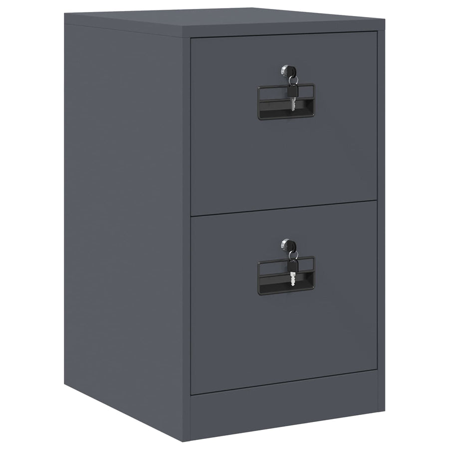 Bestandenkast Antraciet 44 x 50 x 106,5 cm Koudgewalst Staal