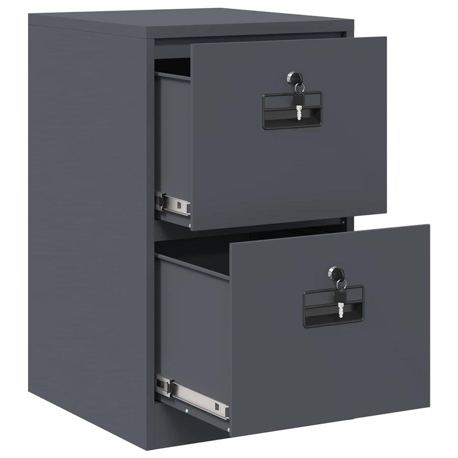 Bestandenkast Antraciet 44 x 50 x 106,5 cm Koudgewalst Staal