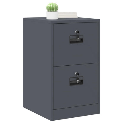 Bestandenkast Antraciet 44 x 50 x 106,5 cm Koudgewalst Staal