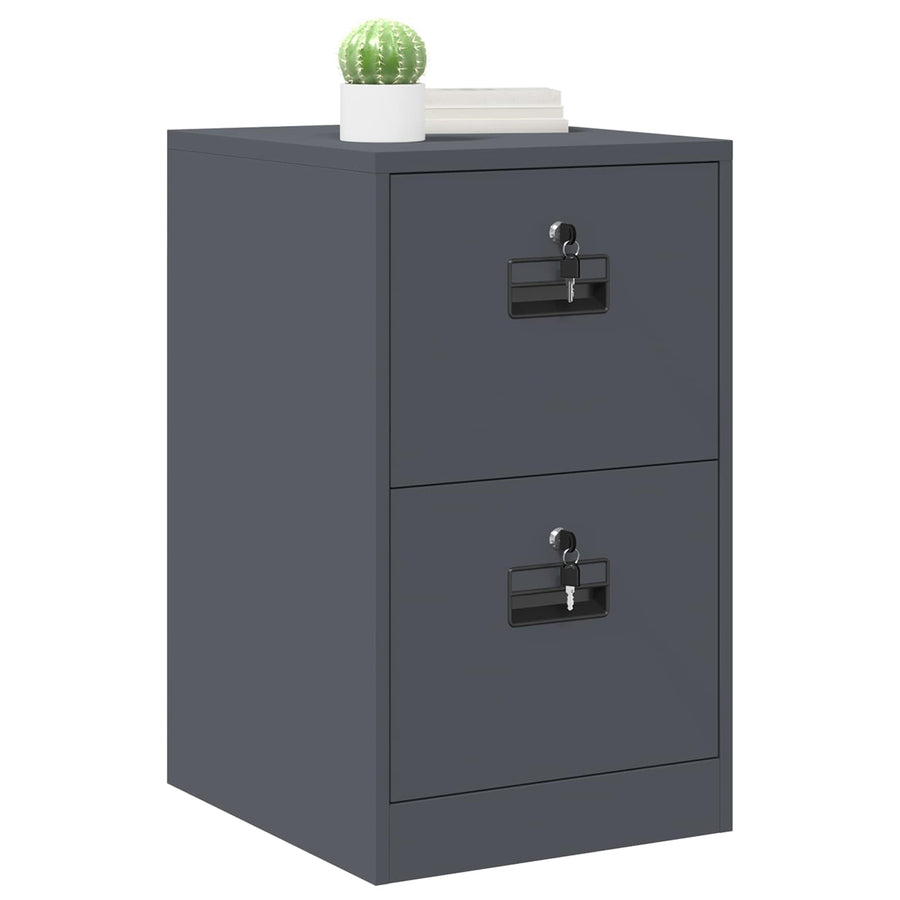 Bestandenkast Antraciet 44 x 50 x 106,5 cm Koudgewalst Staal