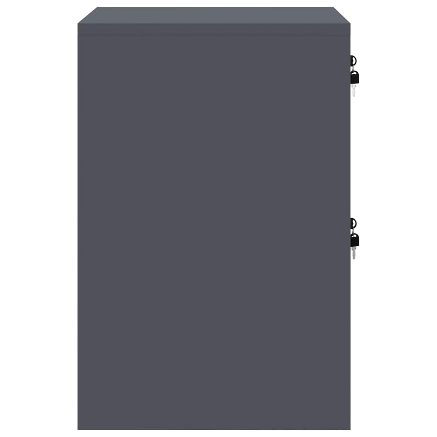 Bestandenkast Antraciet 44 x 50 x 106,5 cm Koudgewalst Staal