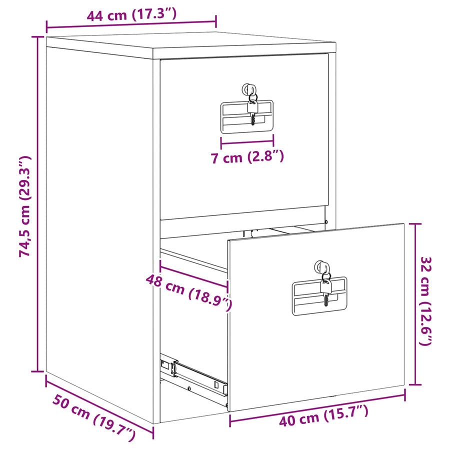 Bestandenkast Antraciet 44 x 50 x 106,5 cm Koudgewalst Staal