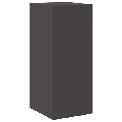 Bestandenkast 44 X 50 X 106,5 Cm Koudgewalst Staal Zwart
