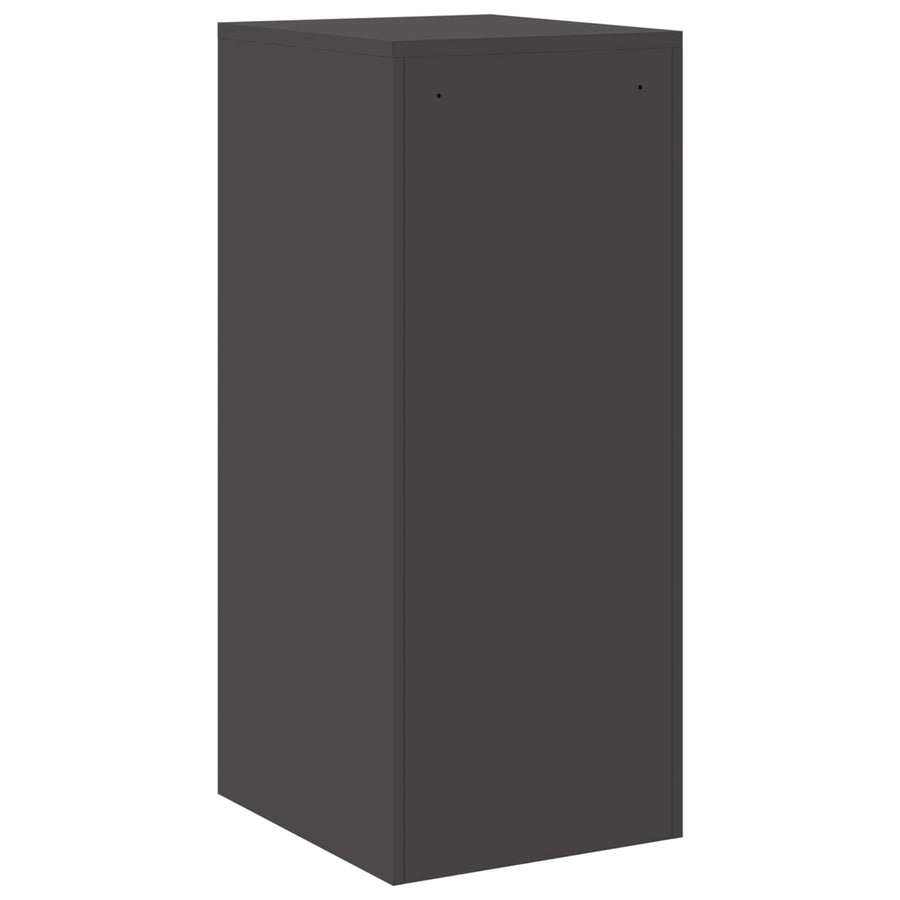 Bestandenkast 44 X 50 X 106,5 Cm Koudgewalst Staal Zwart