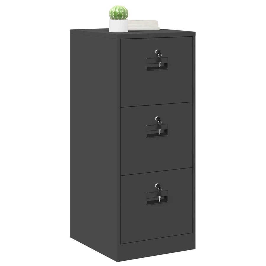 Bestandenkast 44 X 50 X 106,5 Cm Koudgewalst Staal Zwart