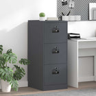 Bestandenkast 44x50x106.5 cm antraciet koudgewalst staal