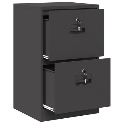 Bestandenkast 44 X 50 X 106,5 Cm Koudgewalst Staal Zwart