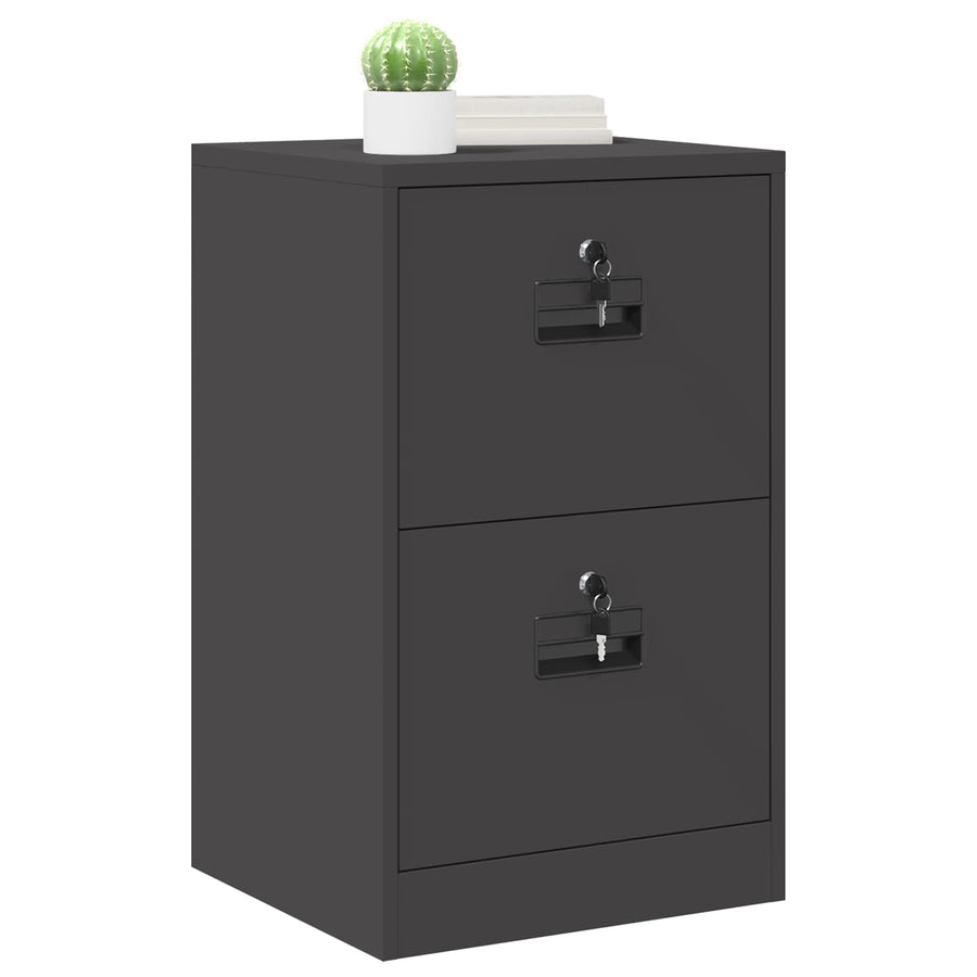 Bestandenkast 44 X 50 X 106,5 Cm Koudgewalst Staal Zwart