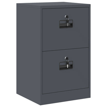 Bestandenkast 44 X 50 X 106,5 Cm Koudgewalst Staal Antraciet