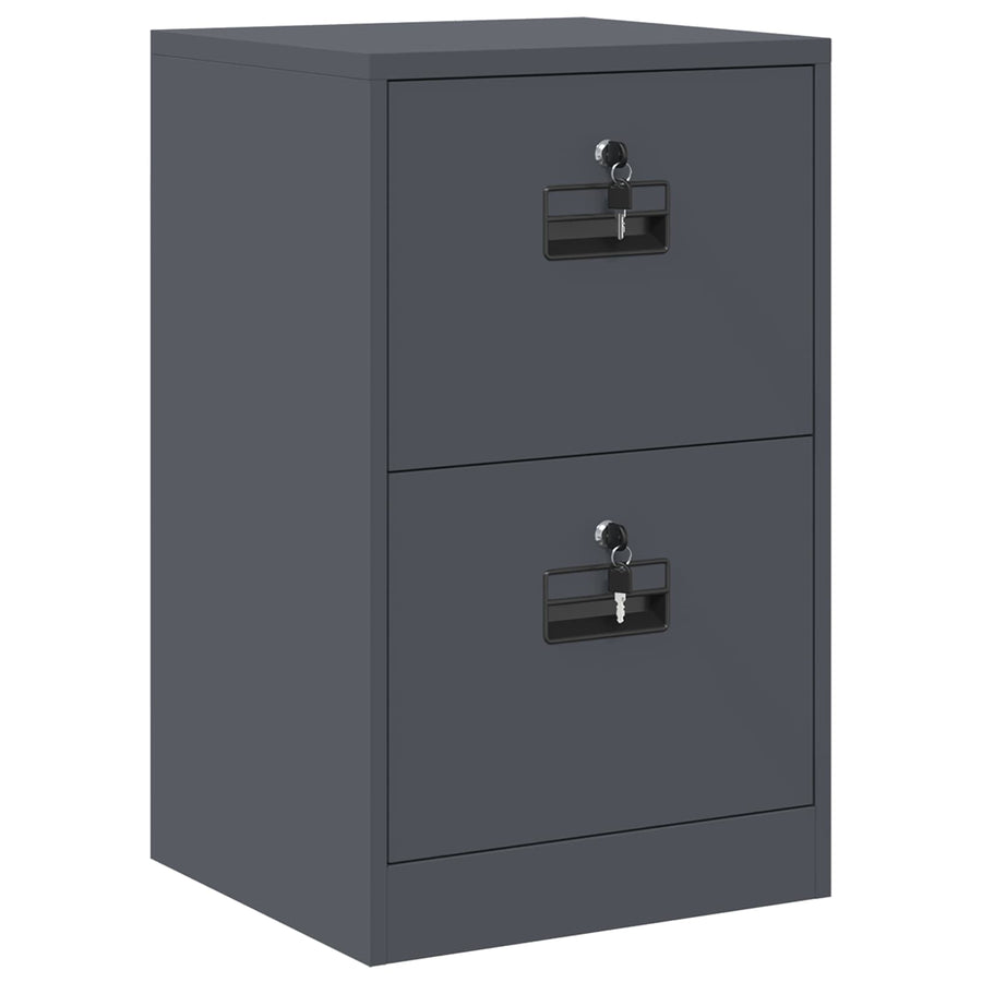 Bestandenkast 44 X 50 X 106,5 Cm Koudgewalst Staal Antraciet