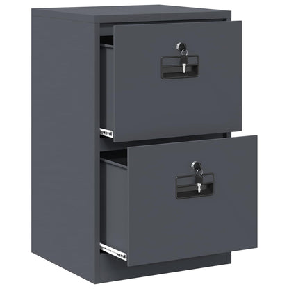 Bestandenkast 44 X 50 X 106,5 Cm Koudgewalst Staal Antraciet