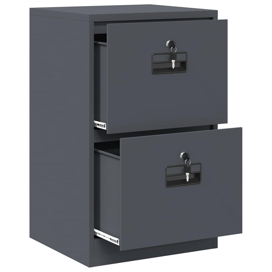Bestandenkast 44 X 50 X 106,5 Cm Koudgewalst Staal Antraciet