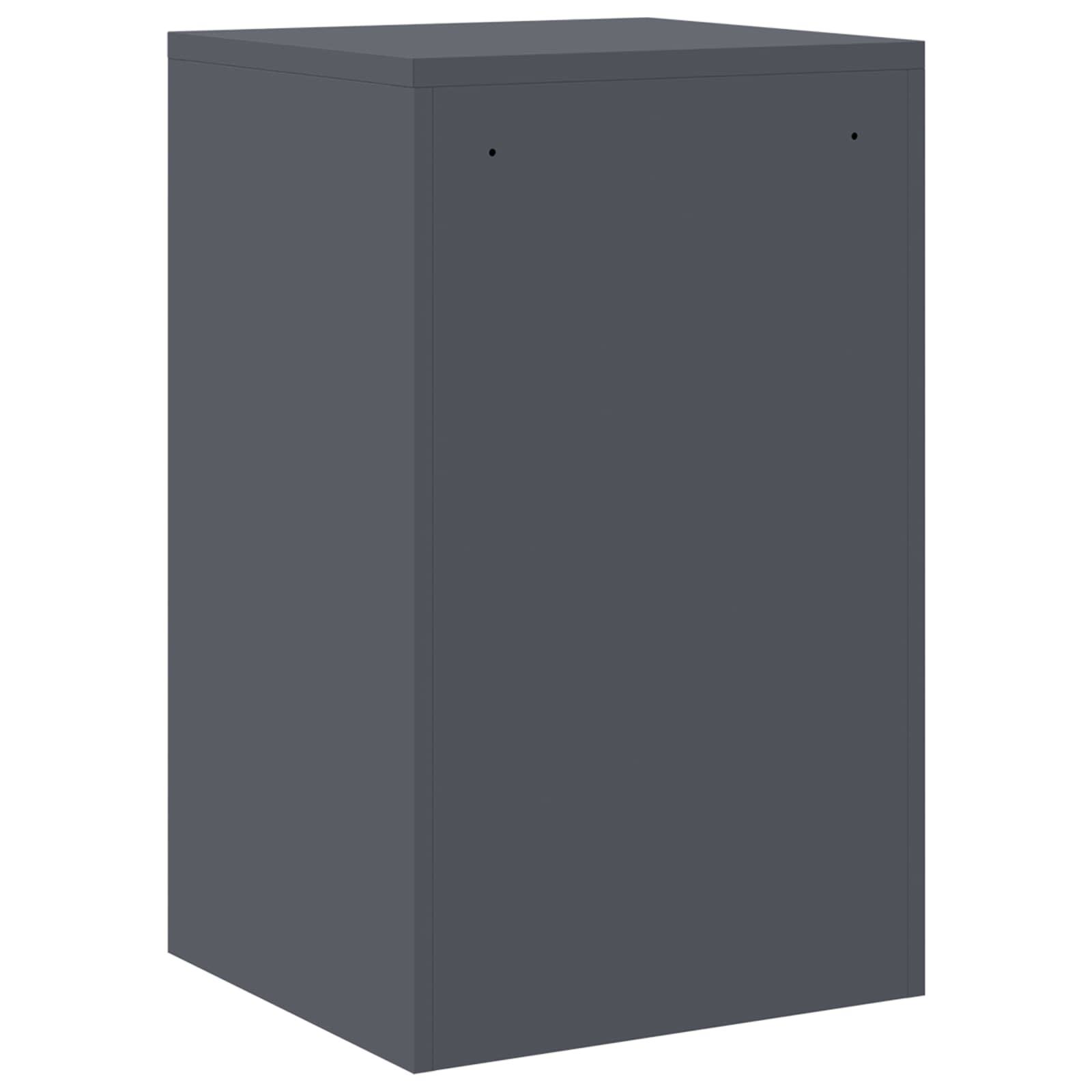 Bestandenkast 44 X 50 X 106,5 Cm Koudgewalst Staal Antraciet