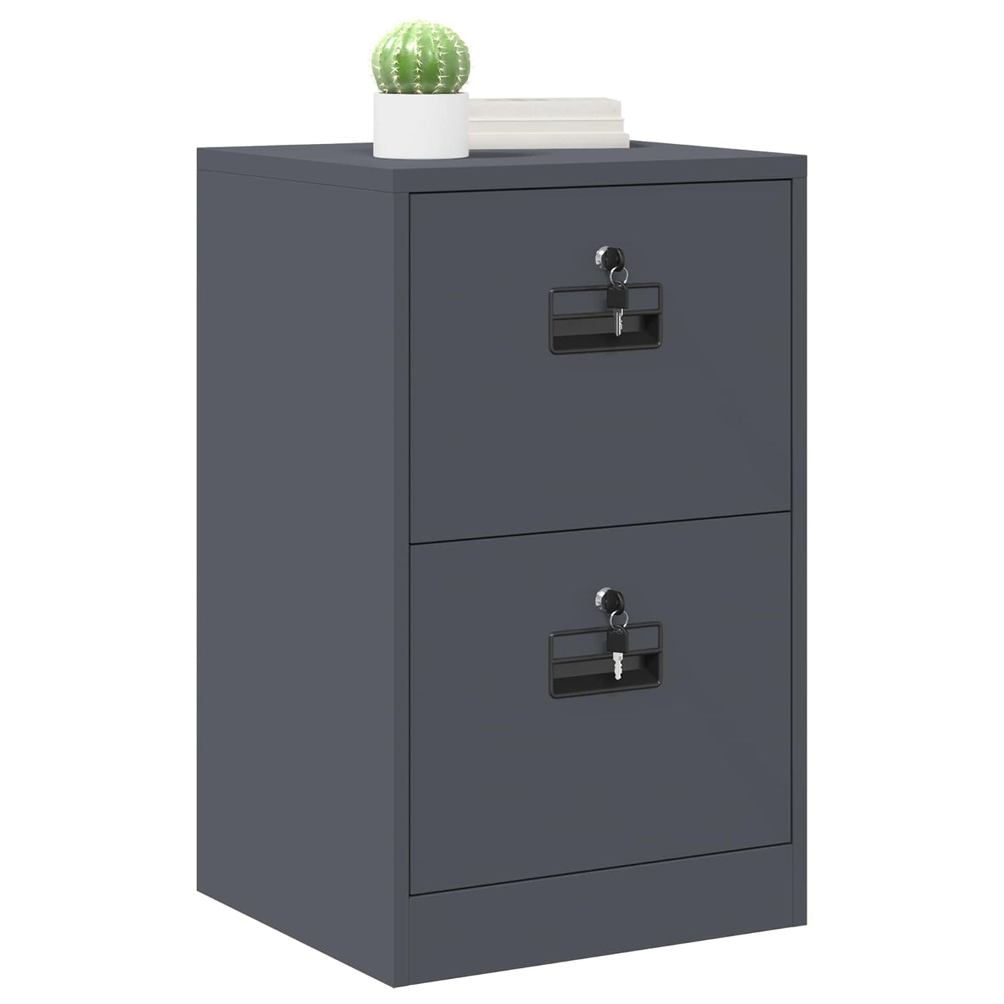 Bestandenkast 44 X 50 X 106,5 Cm Koudgewalst Staal Antraciet