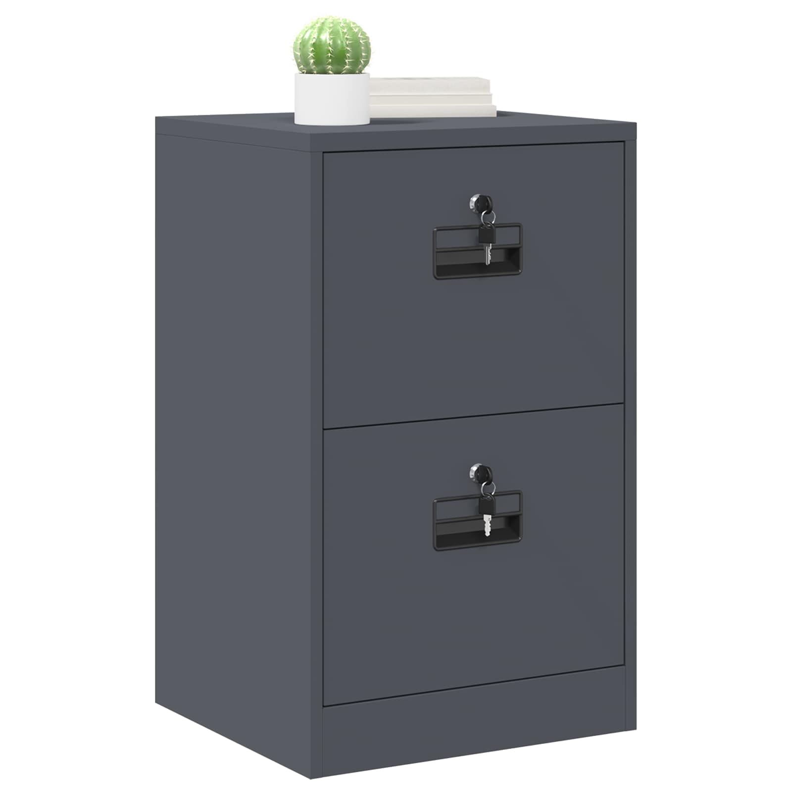 Bestandenkast 44 X 50 X 106,5 Cm Koudgewalst Staal Antraciet