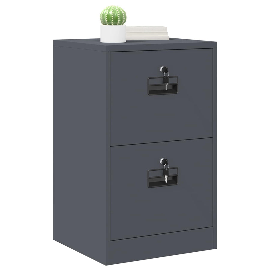 Bestandenkast 44 X 50 X 106,5 Cm Koudgewalst Staal Antraciet