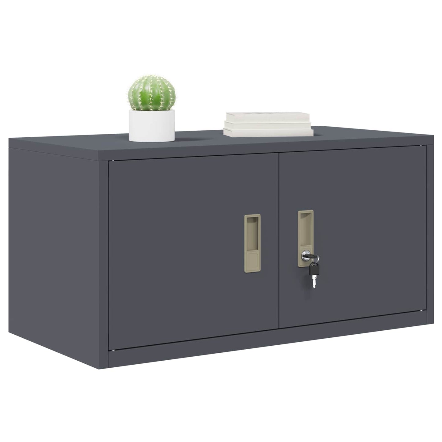 Opbergkast Antraciet 80 x 40 x 40 cm Koudgewalst Staal