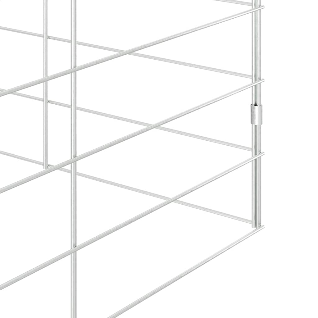 Konijnenkooi Zilver 300 x 100 x 210 cm Gegalvaniseerd staal