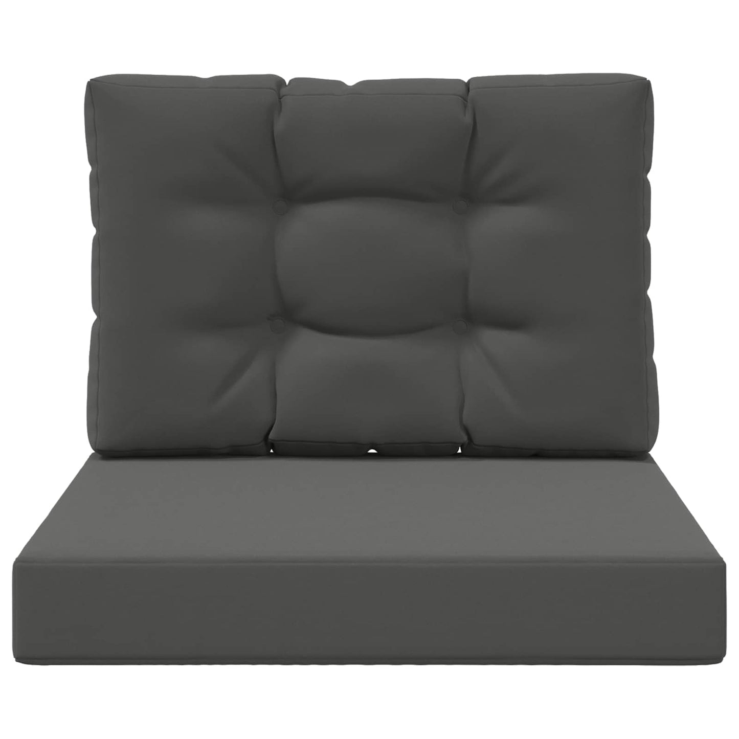 Buiten bankkussen 2 pcs Antraciet Polyester