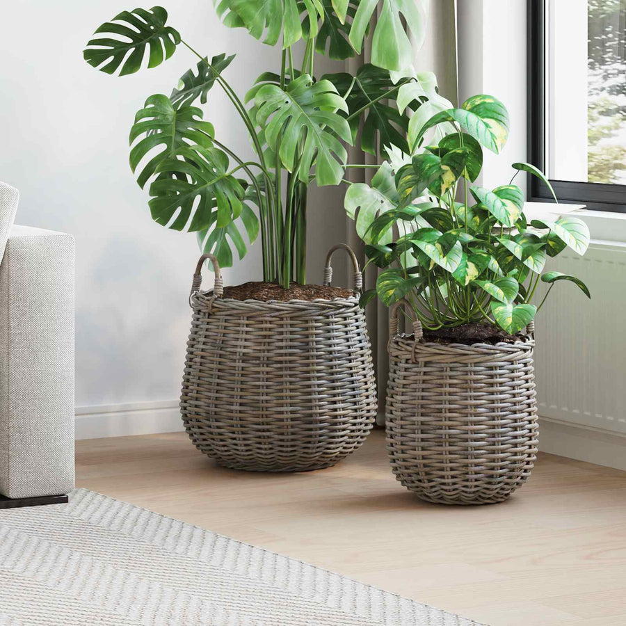 Plantermand met opslag 2 pcs Grijs Lacak Riet
