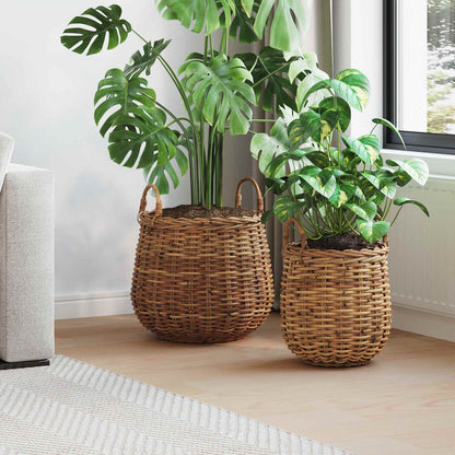 Plantermand met opslag 2 pcs Bruin Lacak Riet