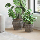 Plantenmand 2 stuks grijs Lacak riet 40x40x35 cm