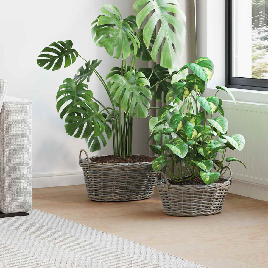 Plantenmand met opslag 2 pcs Grijs Lacak Riet