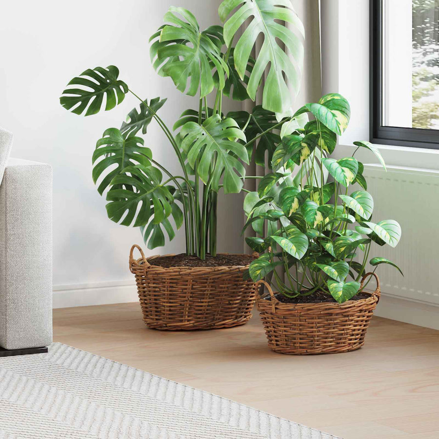 Plantenmand met opslag 2 pcs Bruin Lacak Riet