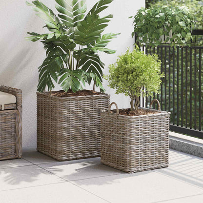 Plantenmand met opslag 2 pcs Grijs Lacak Riet