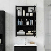 Badkamer spiegelkast 30x10.5x50 cm zwart eiken