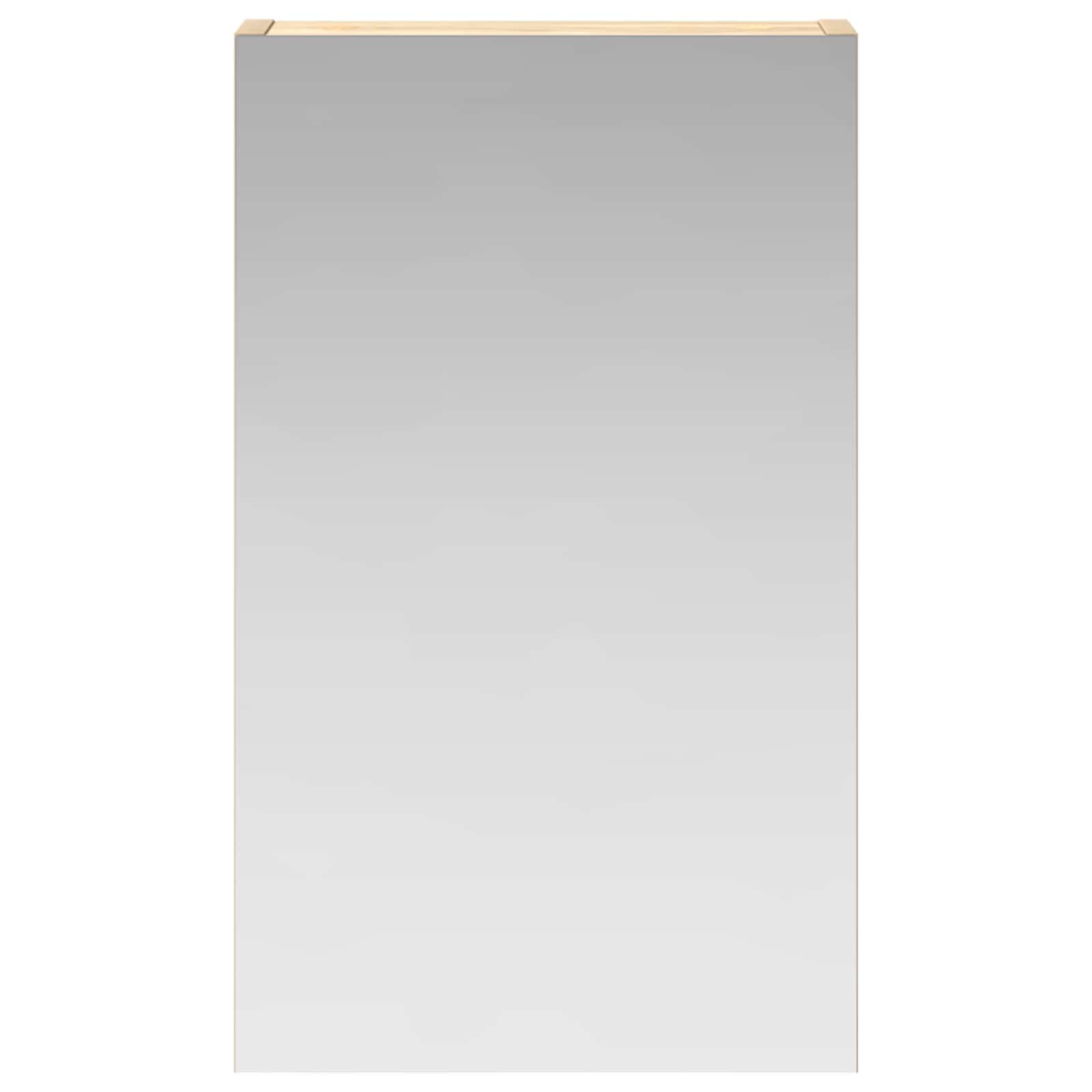 Badkamer spiegelkast met plank Sonoma Eiken 30 x 10,5 x 50 cm