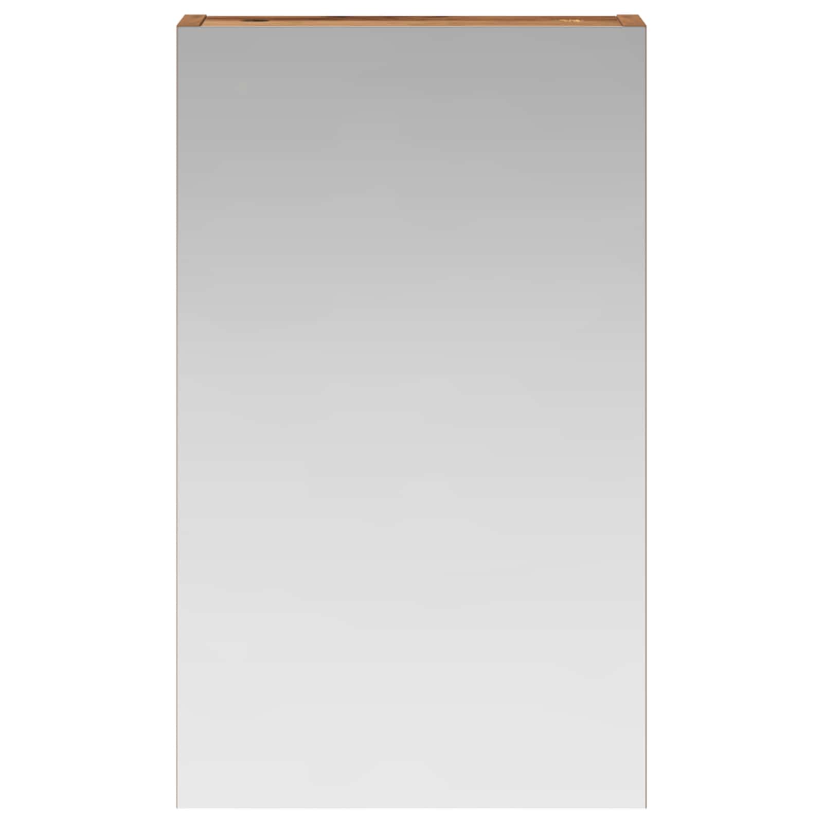Badkamer spiegelkast Oudhout 30 x 10,5 x 50 cm Bewerkt hout