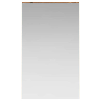 Badkamer spiegelkast Oudhout 30 x 10,5 x 50 cm Bewerkt hout