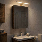 Badkamer spiegelkast 30x10,5x50 cm gerookt eiken