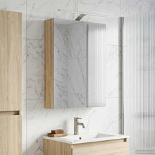 Badkamer spiegelkast met plank Sonoma Eiken 50 x 14,5 x 70 cm