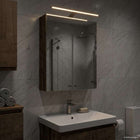 Badkamer spiegelkast 50x14,5x70 cm bewerkt hout