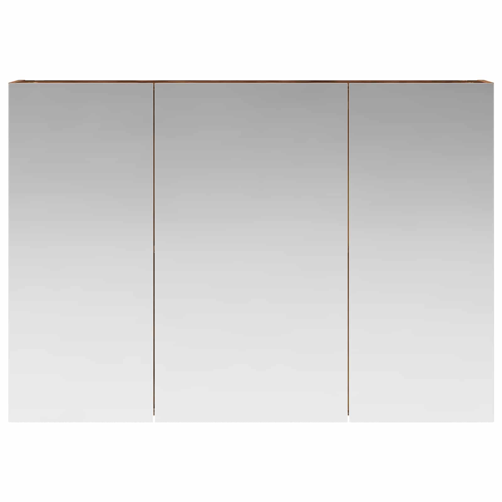 Badkamer spiegelkast Oudhout 100 x 14,5 x 70 cm Bewerkt hout