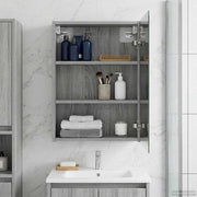 Badkamer spiegelkast 43x16x62.5 cm grijs