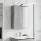 Badkamer spiegelkast 43x16x62.5 cm grijs