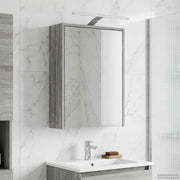Badkamer spiegelkast 43x16x62.5 cm grijs