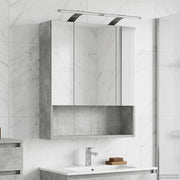 Badkamer spiegelkast beton grijs 60x14.5x70 cm